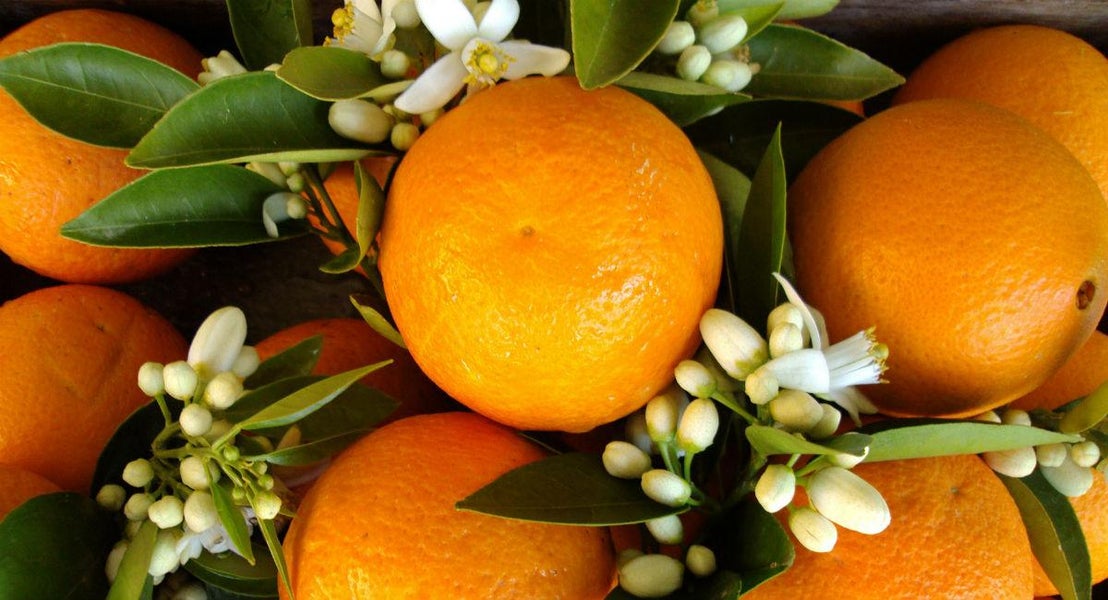 Interflora i Antalya